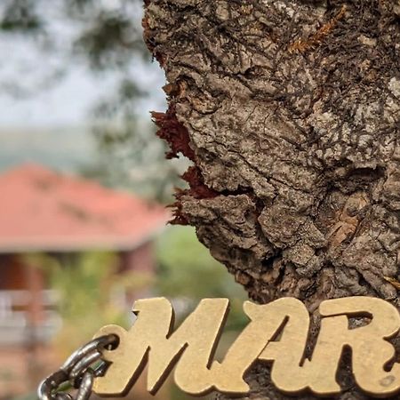 Mars Jungle Adventure Stud Farm With Private Jacuzzi Villa Narsinge ภายนอก รูปภาพ