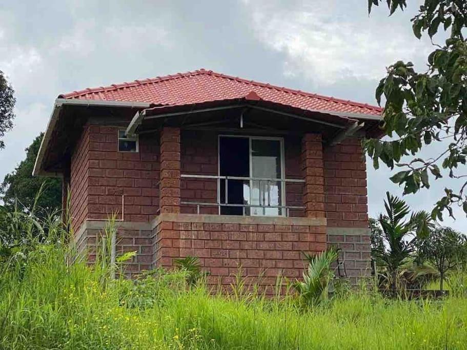 Mars Jungle Adventure Stud Farm With Private Jacuzzi Villa Narsinge ภายนอก รูปภาพ