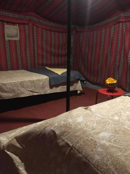 Mars Jungle Adventure Stud Farm With Private Jacuzzi Villa Narsinge ห้อง รูปภาพ