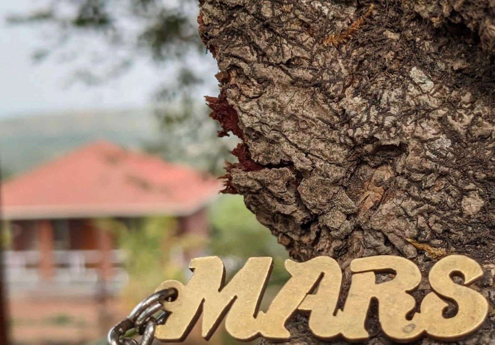 Mars Jungle Adventure Stud Farm With Private Jacuzzi Villa Narsinge ภายนอก รูปภาพ