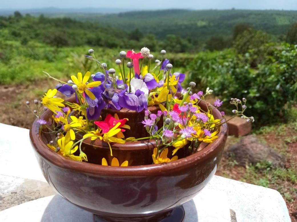 Mars Jungle Adventure Stud Farm With Private Jacuzzi Villa Narsinge ภายนอก รูปภาพ