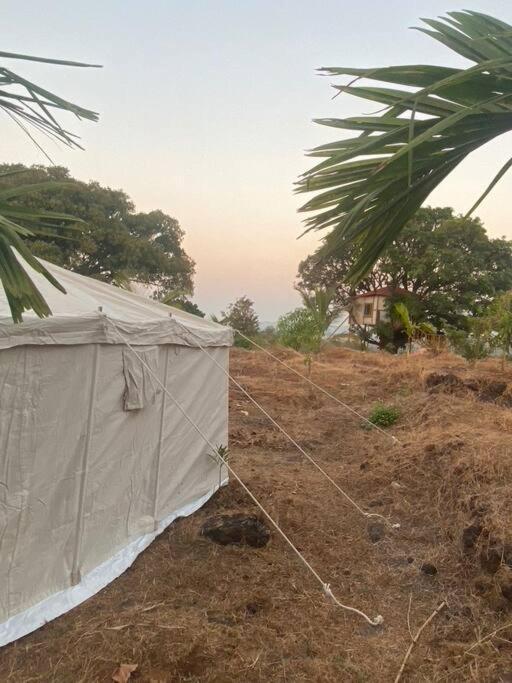 Mars Jungle Adventure Stud Farm With Private Jacuzzi Villa Narsinge ห้อง รูปภาพ