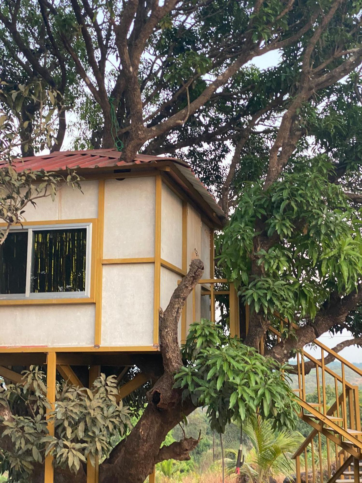 Mars Jungle Adventure Stud Farm With Private Jacuzzi Villa Narsinge ห้อง รูปภาพ