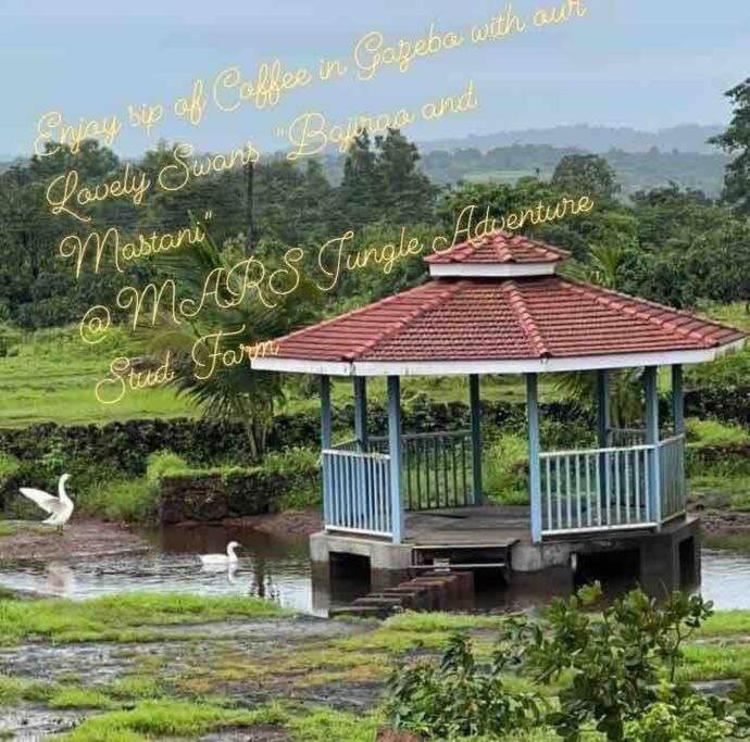 Mars Jungle Adventure Stud Farm With Private Jacuzzi Villa Narsinge ภายนอก รูปภาพ