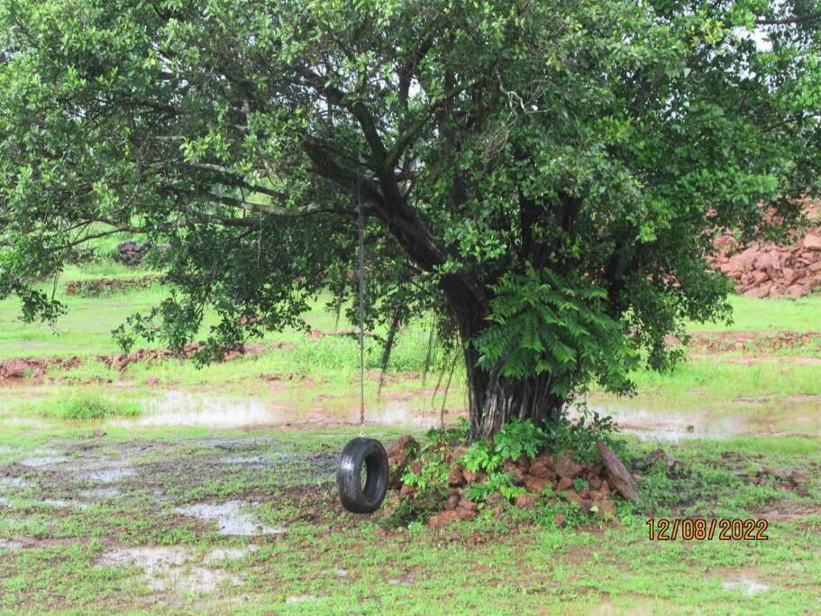 Mars Jungle Adventure Stud Farm With Private Jacuzzi Villa Narsinge ภายนอก รูปภาพ